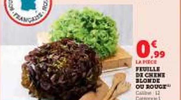 Feuille de chêne blonde ou rouge