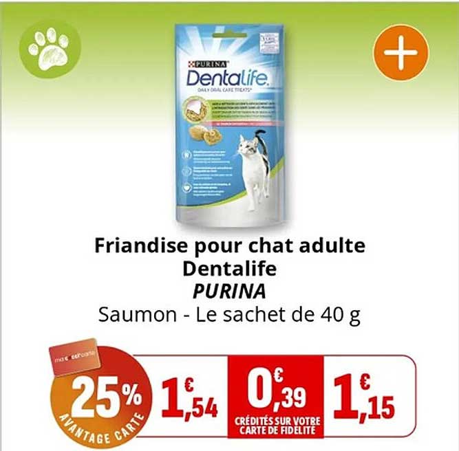Friandise pour chat adulte Dentalife PURINA