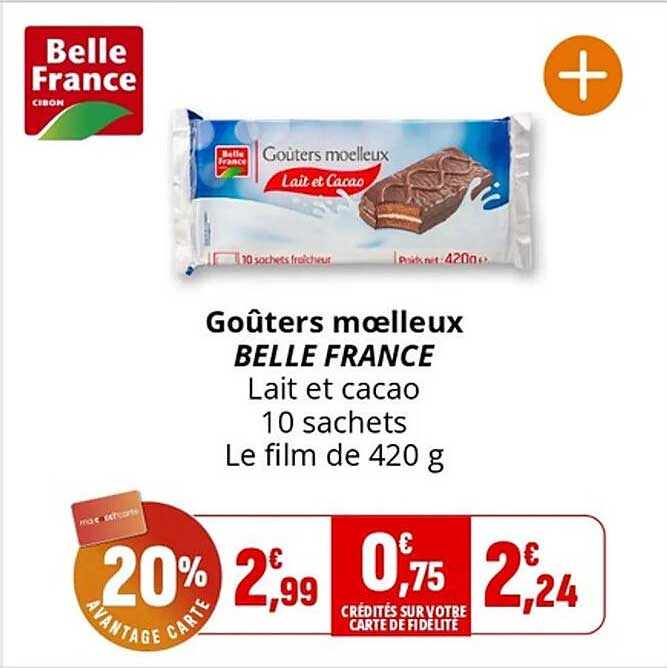 Goûters moelleux BELLE FRANCE Lait et cacao 10 sachets