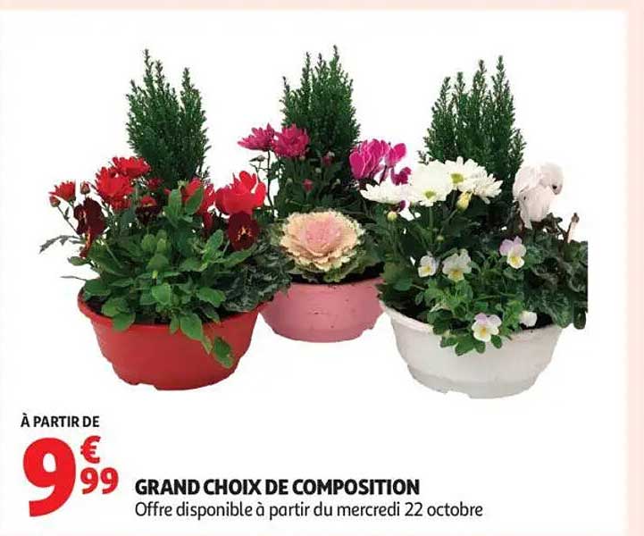 GRAND CHOIX DE COMPOSITION