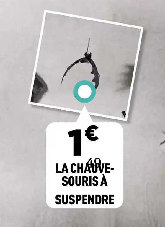 LA CHAUVE-SOURIS À SUSPENDRE