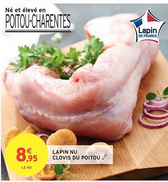 LAPIN NU CLOVIS DU POITOU