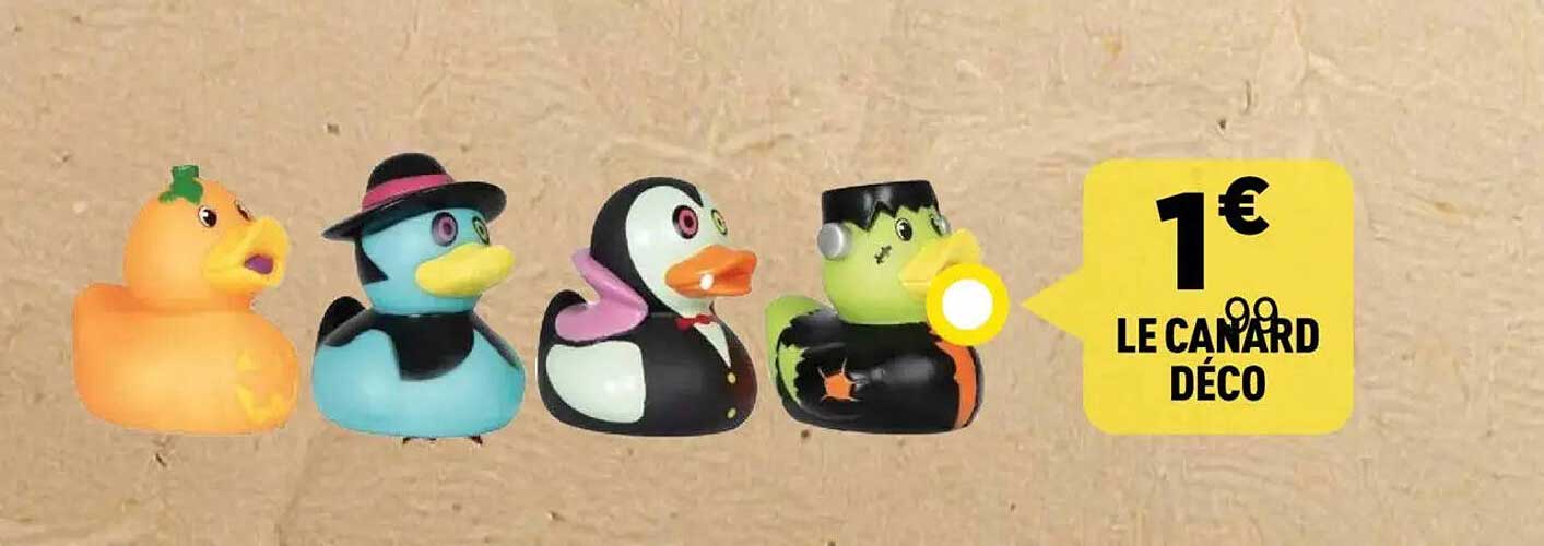LE CANARD DÉCO