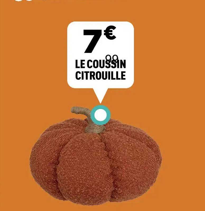 LE COUSSIN CITROUILLE