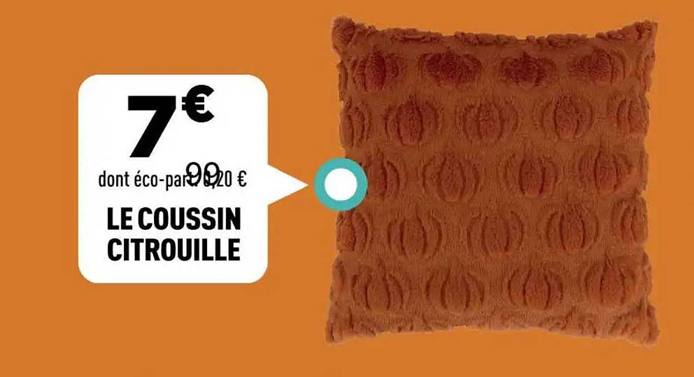 LE COUSSIN CITROUILLE