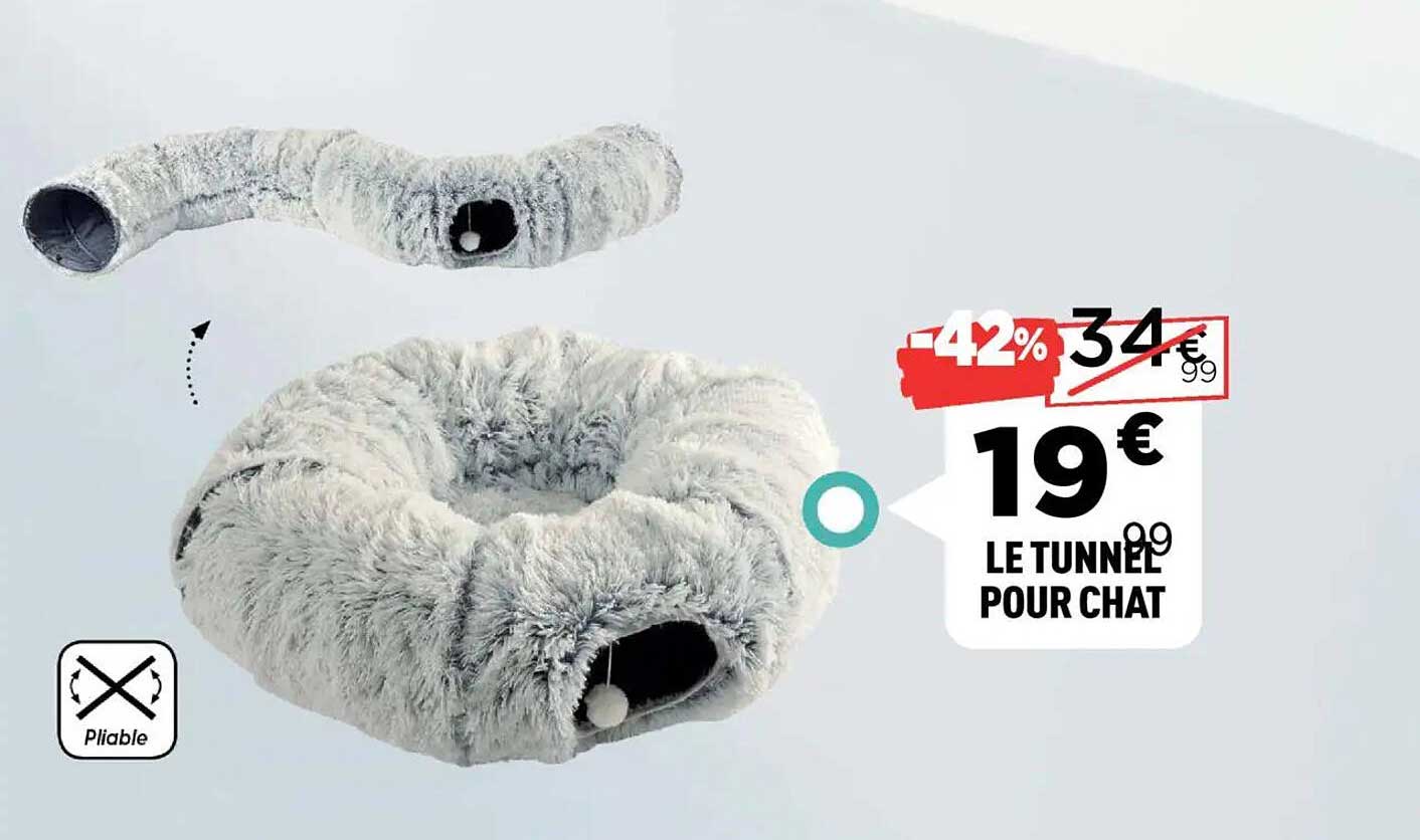 LE TUNNEL POUR CHAT