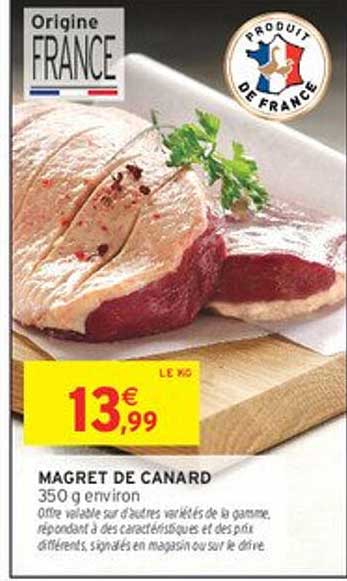 MAGRET DE CANARD