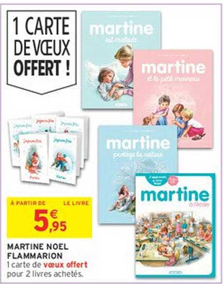 MARTINE NOEL FLAMMARION