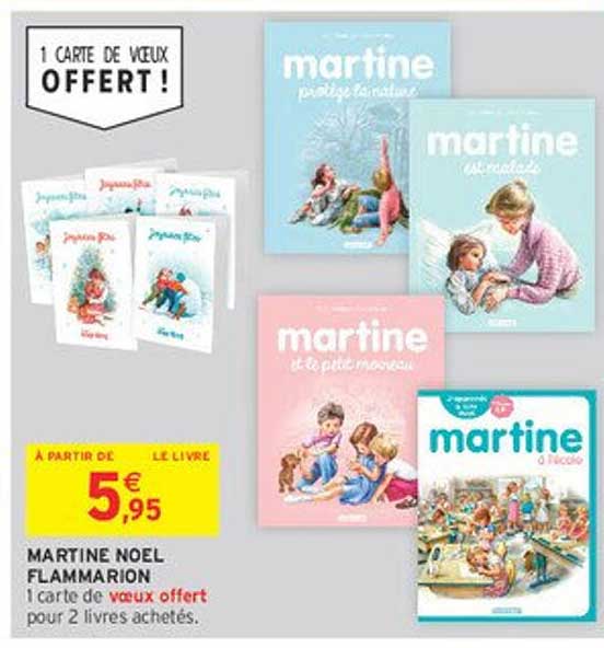 MARTINE NOEL FLAMMARION