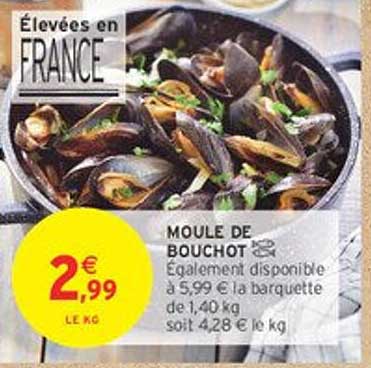 MOULE DE BOUCHOT