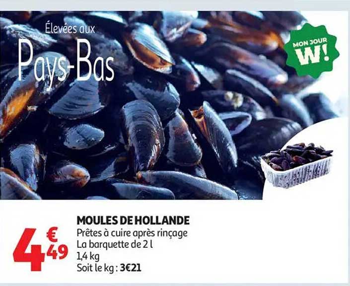 MOULES DE HOLLANDE