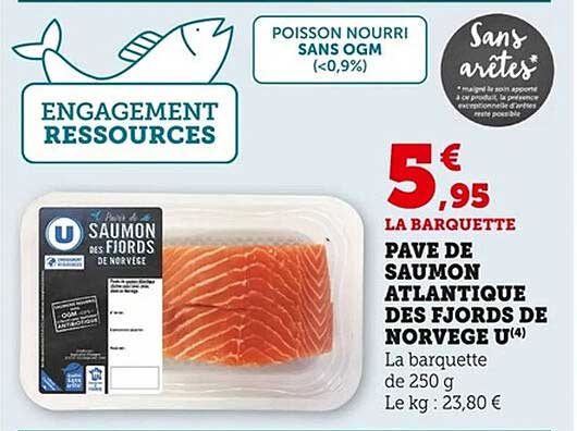 PAVE DE SAUMON ATLANTIQUE DES FIORDS DE NORVÈGE U