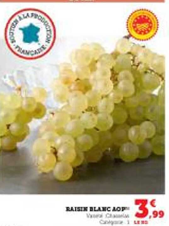 RAISIN BLANC AOP
