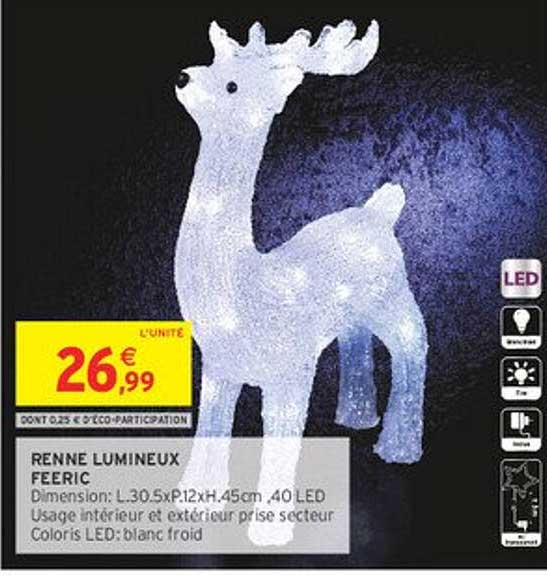 RENNE LUMINEUX FEERIC