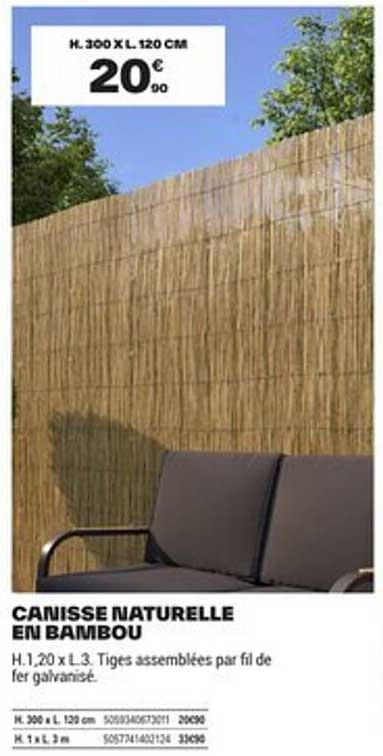 Sitemapcdatahttpswobcellcare1comcanisse Bambou Brico Depot