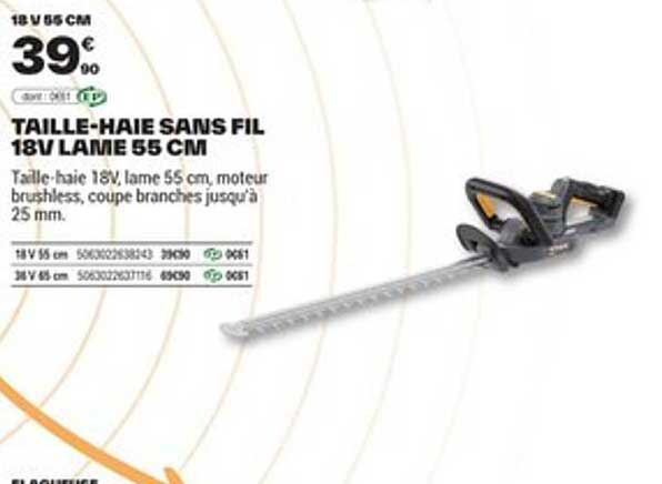 Sitemapcdatahttpsfoowindecoocomtaille Haie Electrique Brico Depot