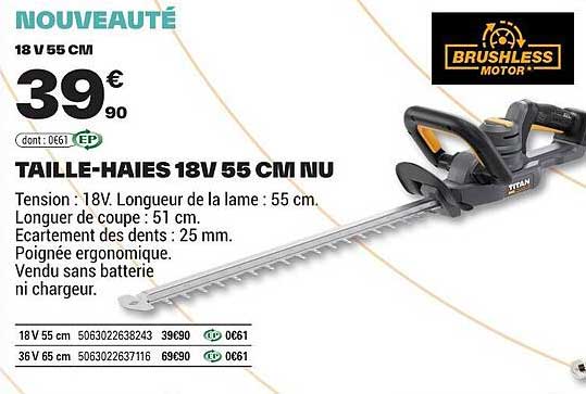 Taille Haies Brico Depotnull