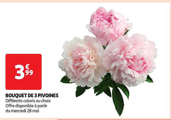 BOUQUET DE 3 PIVOINES