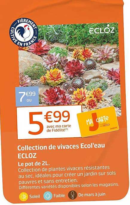 Collection de vivaces Ecol'eau ECLOZ
