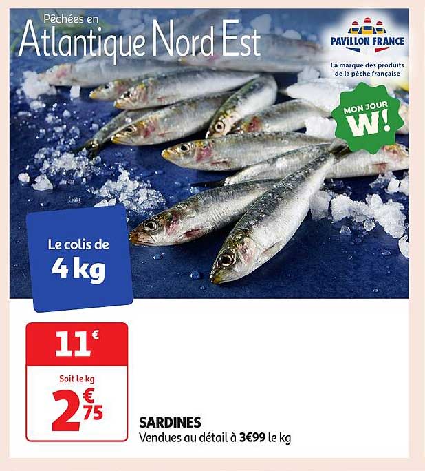 SARDINES