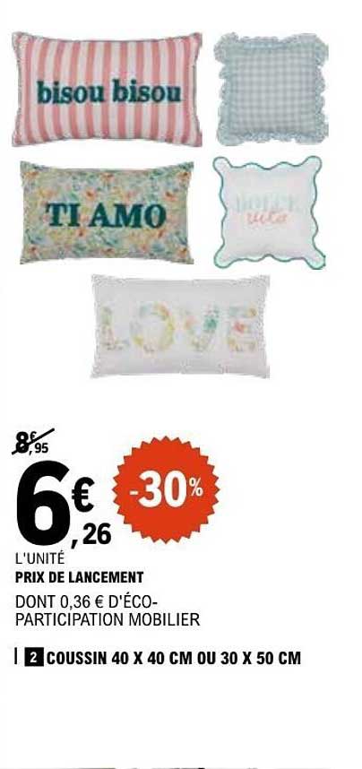 2 COUSSIN 40 X 40 CM OU 30 X 50 CM
