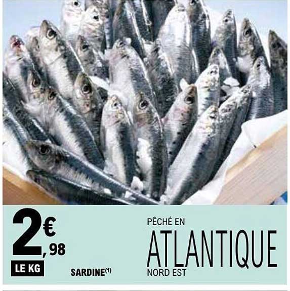 PÊCHÉ EN ATLANTIQUE NORD EST SARDINE(1)
