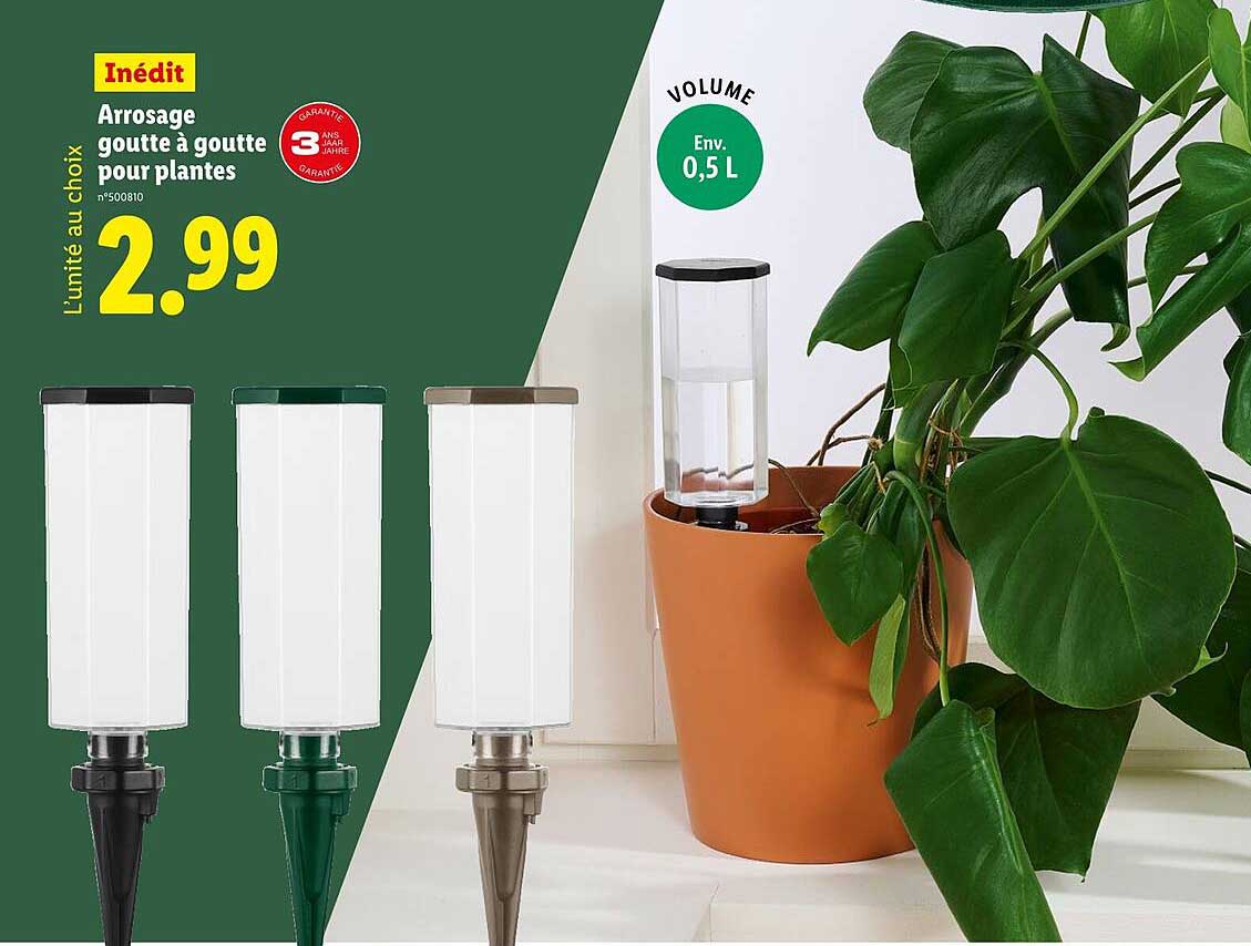Arrosage goute à goute pour plantes