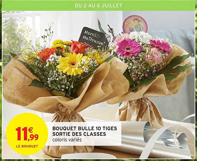 BOUQUET BULLE 10 TIGES SORTIE DES CLASSES