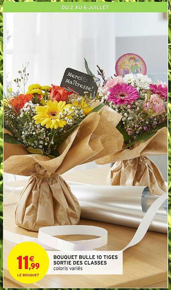 BOUQUET BULLE 10 TIGES SORTIE DES CLASSES