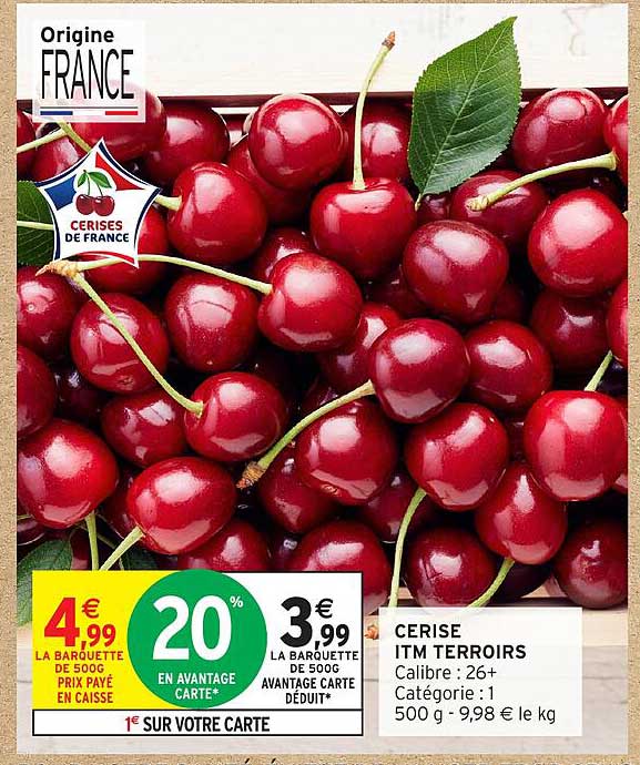 CERISE ITM TERROIRS