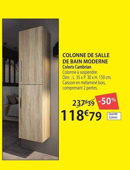 COLONNE DE SALLE DE BAIN MODERNE Coloris Cambrian.