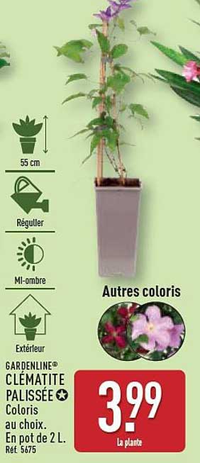 GARDENLINE® CLÉMATITE PALISSÉE au choix