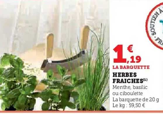 HERBES FRAÎCHES