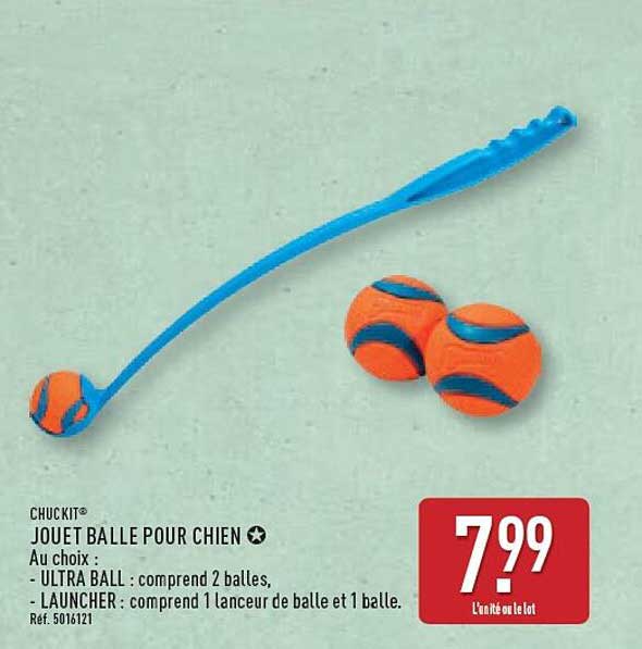 JOUET BALLE POUR CHIEN