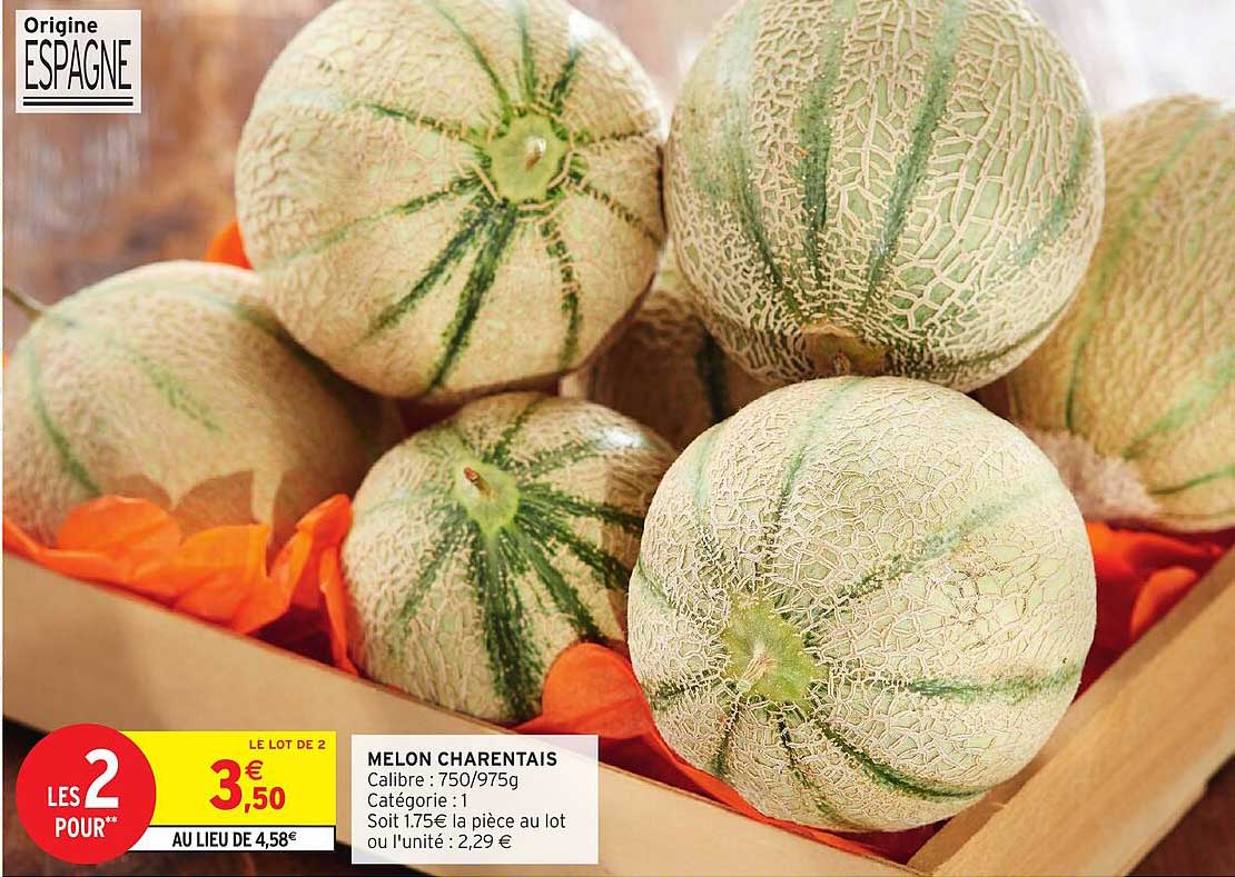 MELON CHARANTAIS