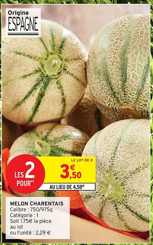 MELON CHARANTAIS