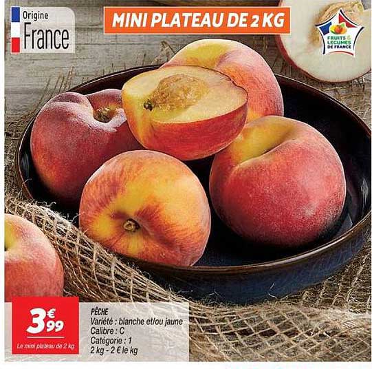 MINI PLATEAU DE 2 KG