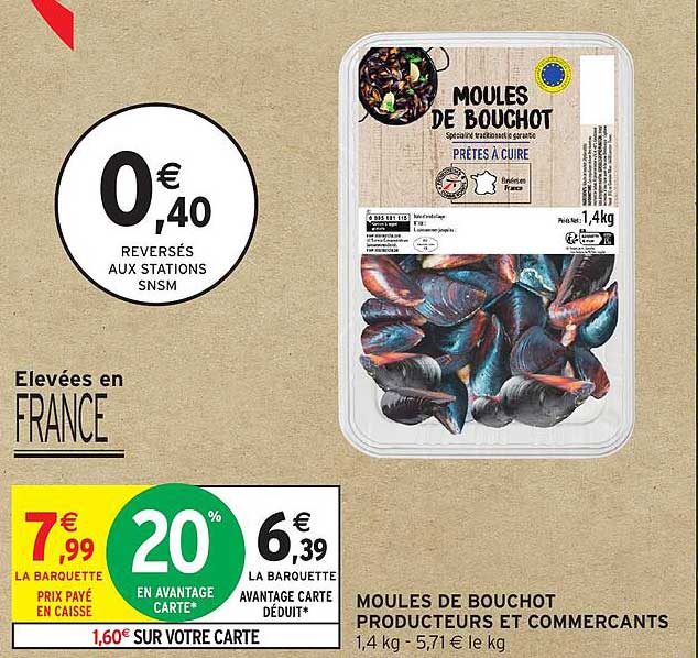 MOULES DE BOUCHOT