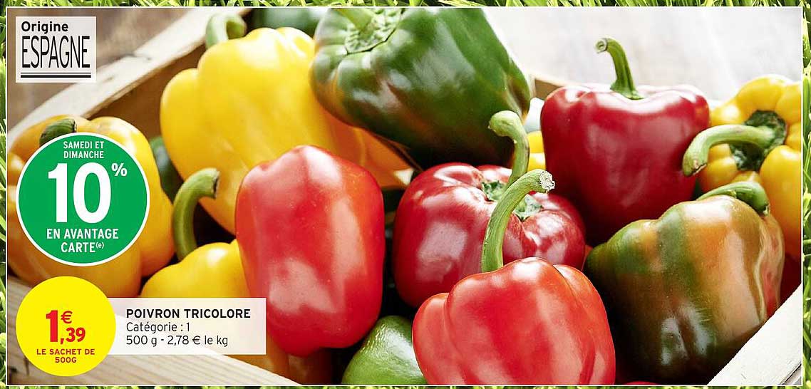 POIVRON TRICOLORE