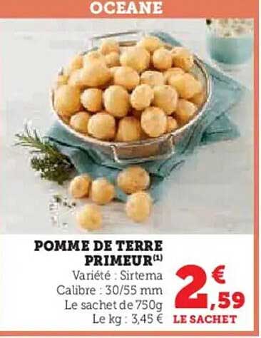 POMME DE TERRE PRIMEUR