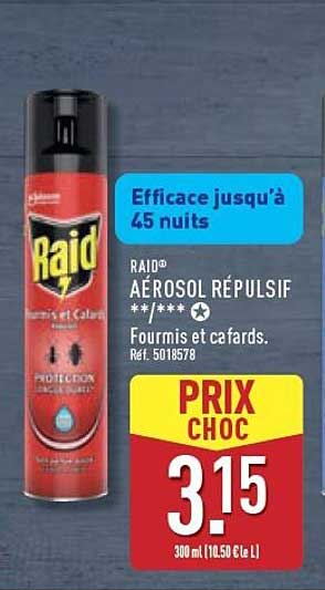 RAID® AÉROSOL RÉPULSIF