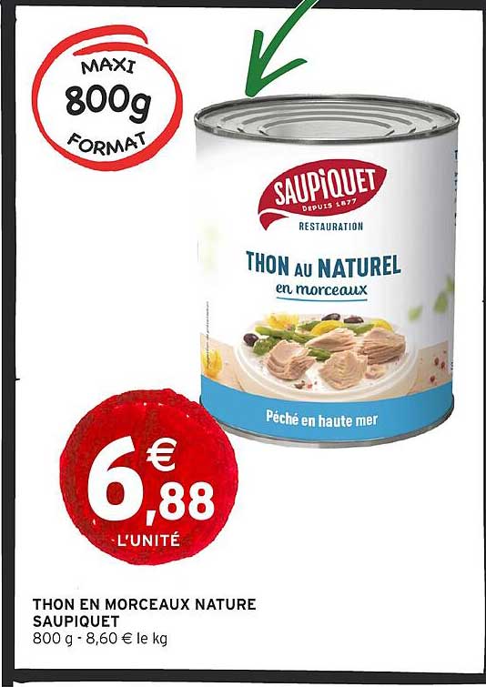 THON EN MORCEAUX NATURE SAUPIQUET