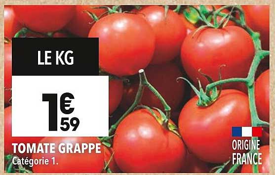 TOMATE GRAPPE