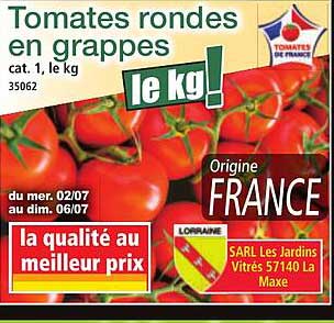 Tomates rondes en grappes