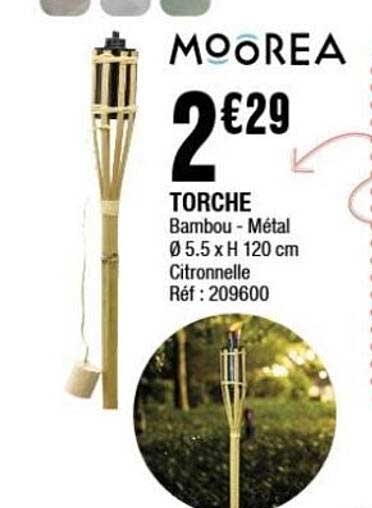 TORCHE