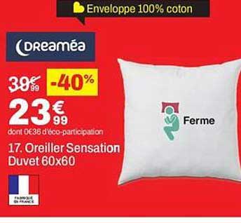 17 Oreiller Sensation Duvet 60x60