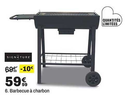 6. Barbecue à charbon