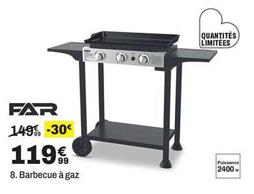 8. Barbecue à gaz