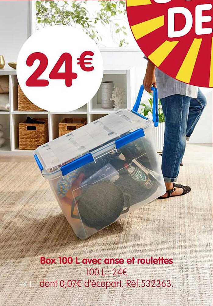 Box 100 L avec anse et roulettes