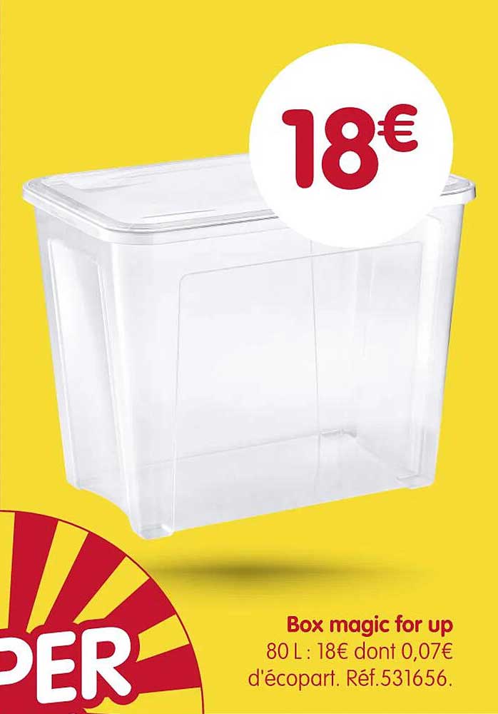 Box magic for up 80 L : 18€ dont 0,07€ d’écopart. Réf.531656.